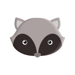 cute raccoon isolated icon vector illustration design