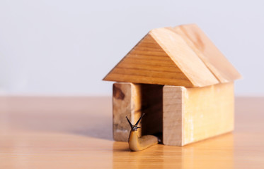 Obraz na płótnie Canvas Slug in wooden house