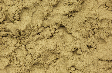 Wet sand,backgroudn,texture