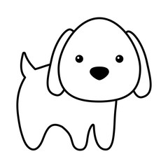 cute dog mascot isolated icon vector illustration design