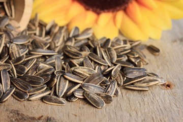 Sunflower seeds