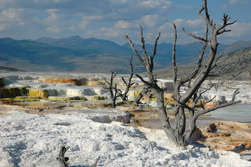 yellowstone © darekbruce
