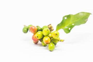 colourful of coffee beans