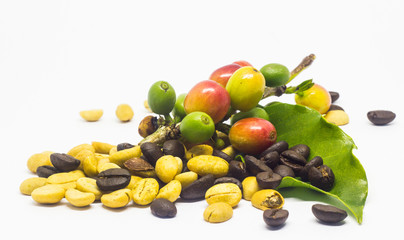 colourful of coffee beans.