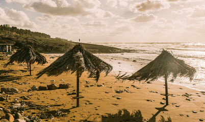Windswept Umbrellas Cypriot Beach