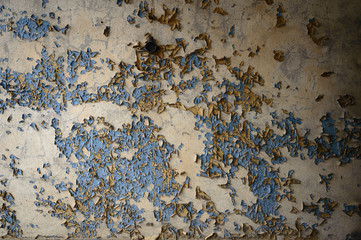 wall