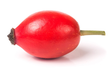 rose hip berry isolated on white background