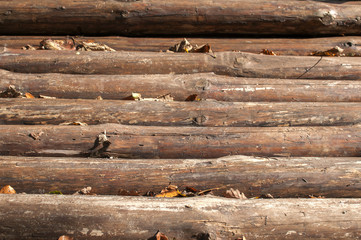 Bridge surface over mountain forest river of rough pine wood logs closeup as background