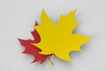 red and yellow maple leaves on white background