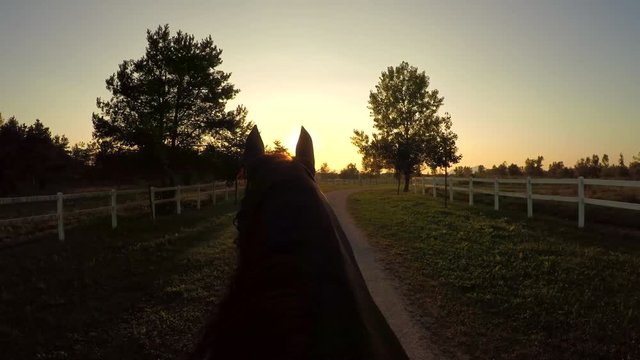 FPV: Horseback riding beautiful brown stallion on magical sunny morning