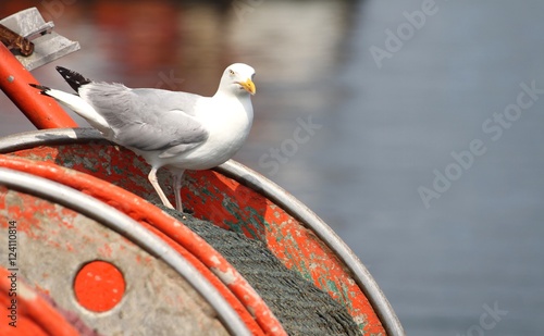 500_F_124110814_xczQQMyyux5YTbq2AaQ59yEcnoufZ63M.jpg