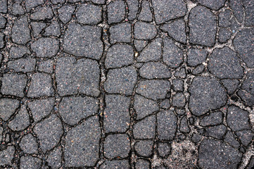 A fragment of a cracked asphalt pavement. Фрагмент асфальтовой дороги, покрытой трещинами.