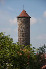Ancient tower with trees in front
