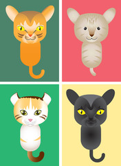 Fototapeta premium Cute Cat, Vector Illustration