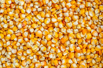 Corn grains can be used as a background