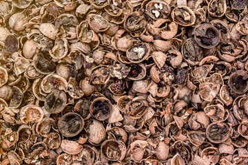 Cracked walnuts infected with mold, top view
