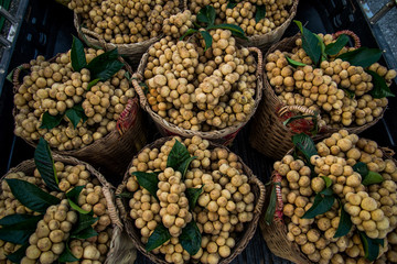 Wollonggong in fresh fruit market