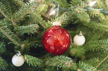 Obraz na płótnie Canvas Christmas decorative red ball on a fir tree
