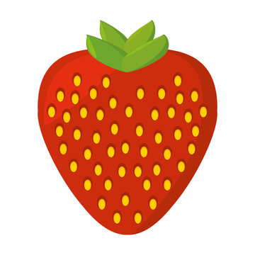 strawberry fresh fruit isolated icon vector illustration design