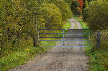 Country lane / driveway with a metal gate