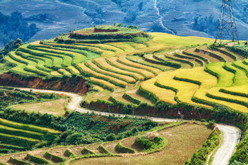 Beautiful rice paddy fields during trip HANOI to SAPA at Northwest Vietnam.Vietnam landscapes.