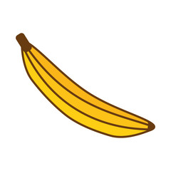 banana tropical fruit icon vector illustration design