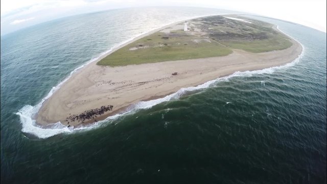 Seals and lighthouse in Nantucket, Massachusetts, aerial