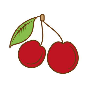 cherry fresh fruit isolated icon vector illustration design