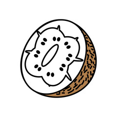 kiwi tropical fruit isolated icon vector illustration design
