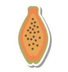 papaya tropical fruit icon vector illustration design