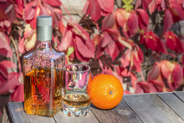 Bottle with glass tequila and orange on the  table in garden