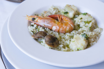 Arroz de Tamboril or soupy seafood rice on plate