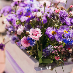 beautiful and delicate wildflowers in pot in purple tones