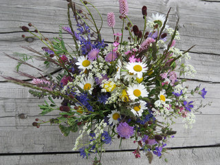Fototapeta na wymiar Bouquet of alpine flowers