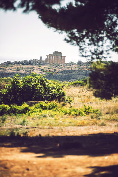 Fototapeta Ancient Greek temple in Selinunte, Sicily, Italy. Detail view.