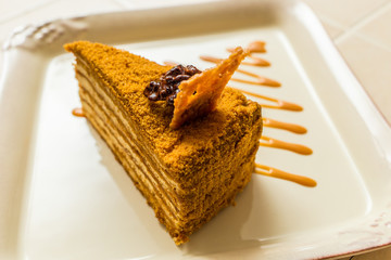 Beautiful close-up of honey cake on a plate