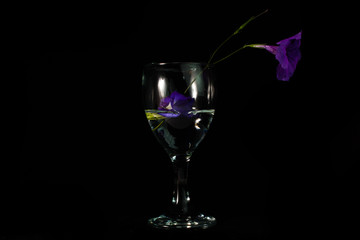 Purple flowers in a glass of water against a black background.