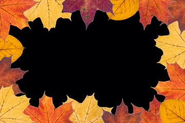 autumn leaves on black background. Image with copy space.