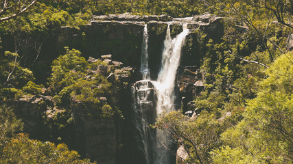 Fototapeta premium Carrington Falls im Budderoo National Park, New South Wales in Australien