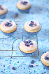 Violet White Chocolate Cupcakes on blue floral background