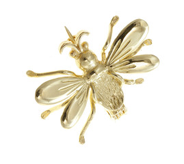 Brooch on a white background