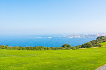 prato verde e vista sull'oceano. La natura in Galizia, Spagna