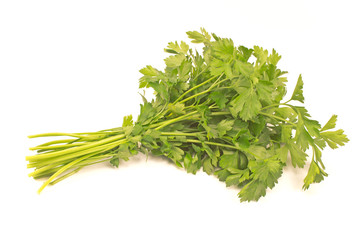 Parsley leaf isolated on white