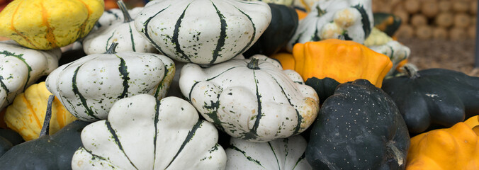 Herbstlicher Kürbismarkt