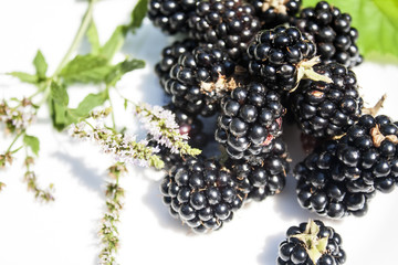 Blackberries and mint