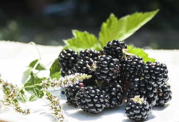 Blackberries and mint