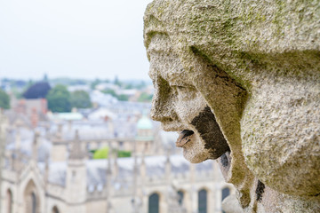 Gargoyle St. Mary The Virgins Church. Oxford, England