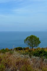 Fototapeta na wymiar Panoramic view of the beach and the crystal sea of Sardinia