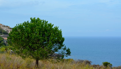 Obraz premium Panoramic view of the beach and the crystal sea of Sardinia