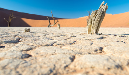 Boden des Deadvleis, Namibia